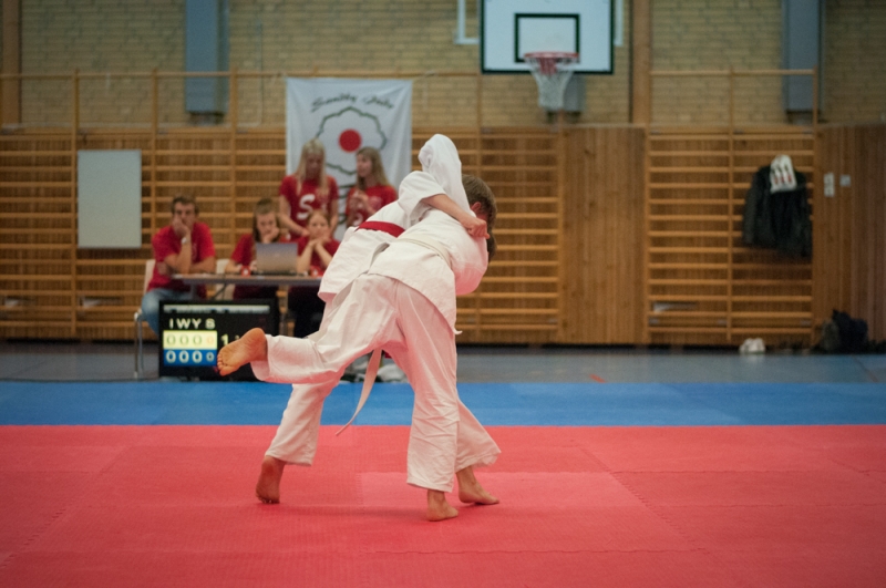 Resultat från Skåneserien 2 i Judo, våra ungdomar