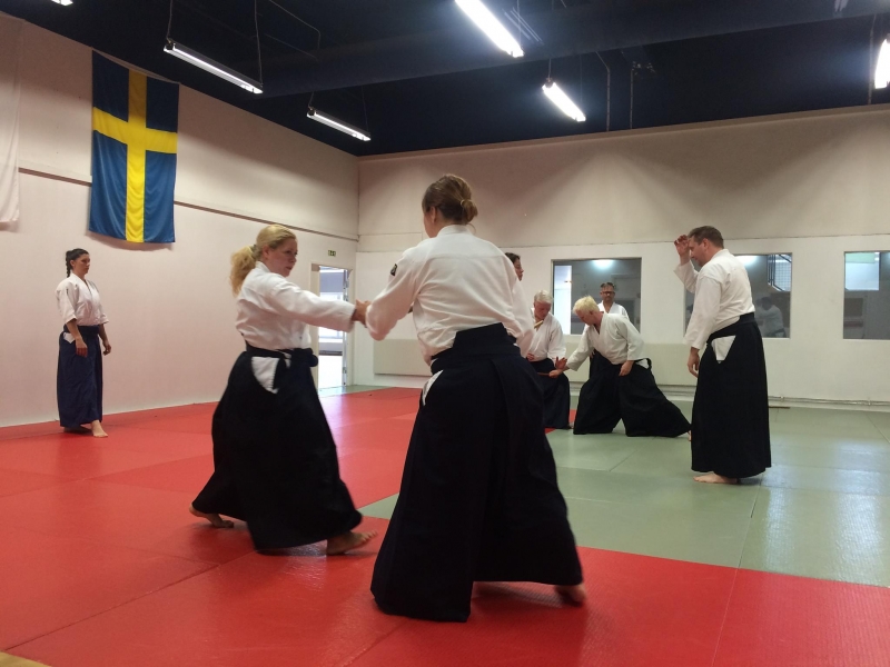 Genomförd Aikido-workshop i Malmö